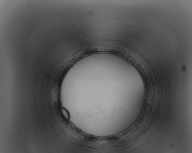 X0000094820604200711161030