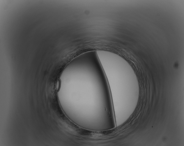X0000094820605200711161030