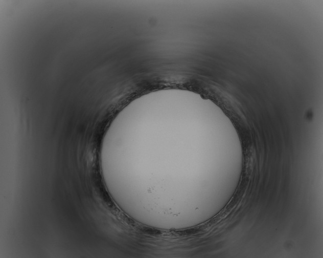 X0000094820608200711161030