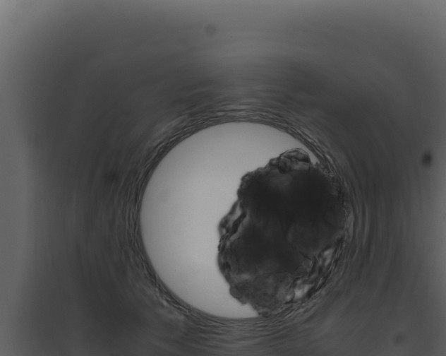 X0000094820609200711161030
