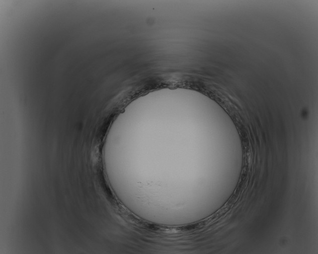 X0000094820611200711161030