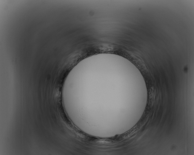 X0000094820614200711161030