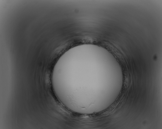 X0000094820616200711161030