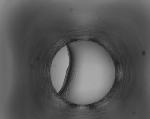 X0000094820619200711161030