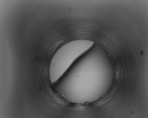 X0000094820620200711161030