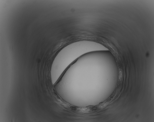 X0000094820621200711161029
