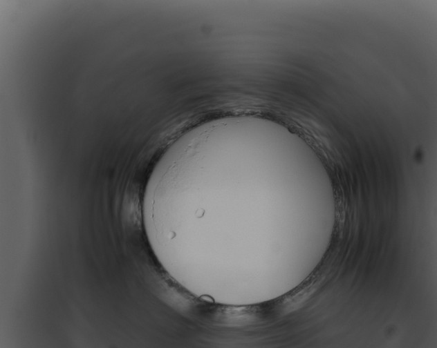 X0000094820622200711161029