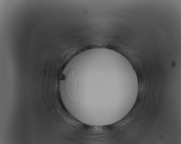 X0000094820623200711161029