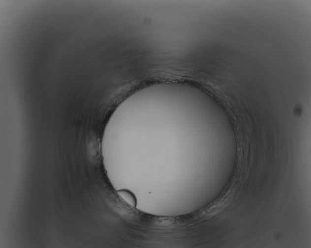 X0000094820624200711161029