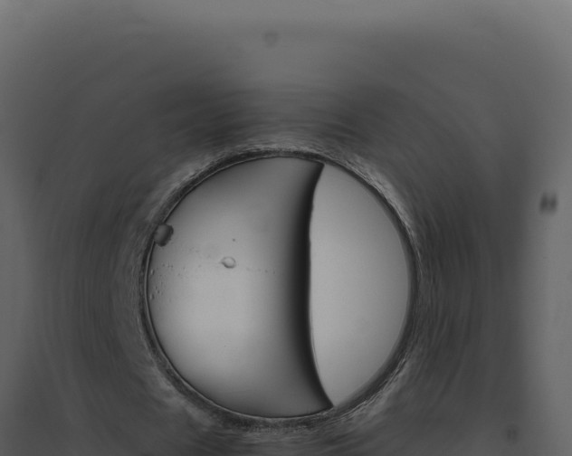 X0000094820625200711161028