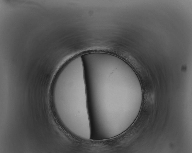 X0000094820628200711161029