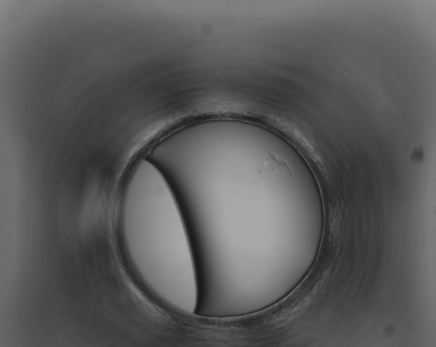 X0000094820629200711161029