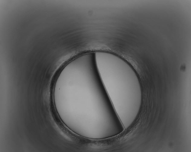 X0000094820630200711161029