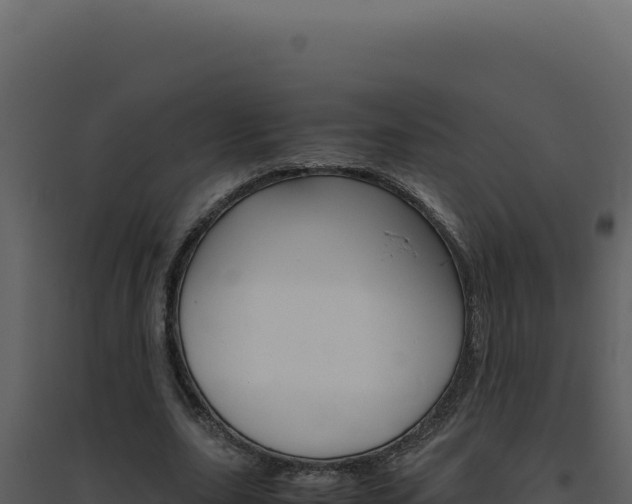 X0000094820631200711161029