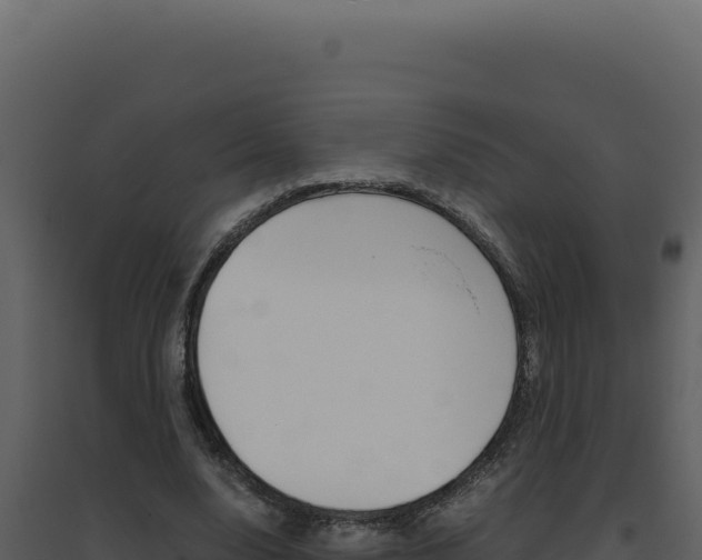 X0000094820632200711161029