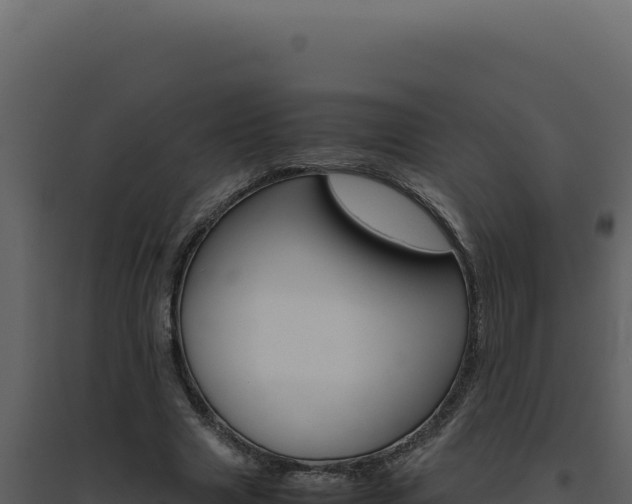 X0000094820633200711161029