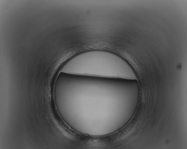 X0000094820634200711161029