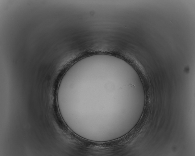 X0000094820635200711161029