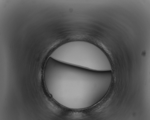 X0000094820637200711161029