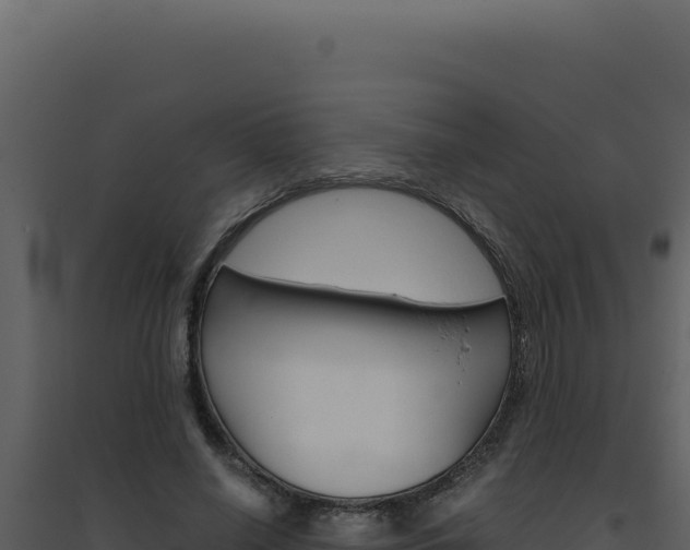 X0000094820638200711161029
