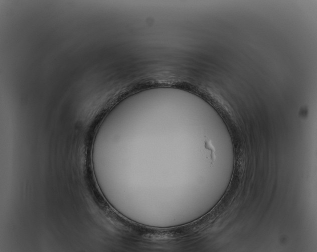 X0000094820639200711161029