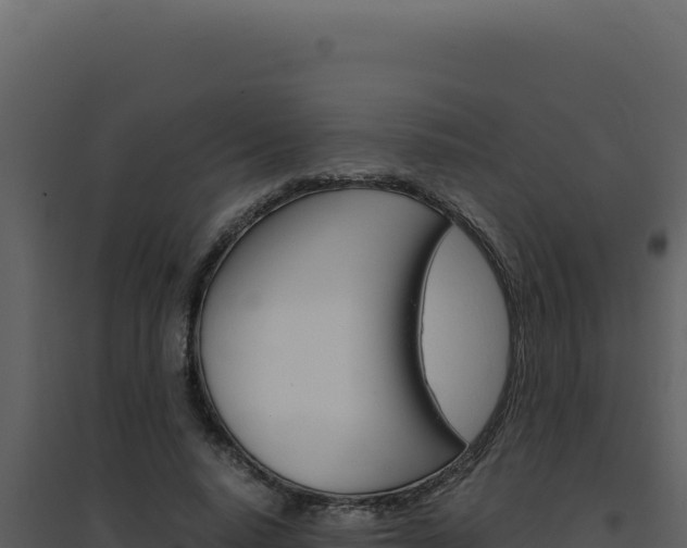 X0000094820640200711161029