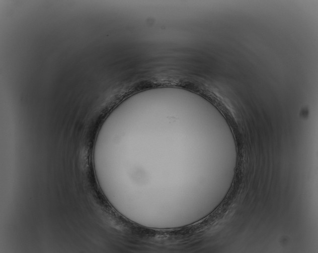 X0000094820641200711161029