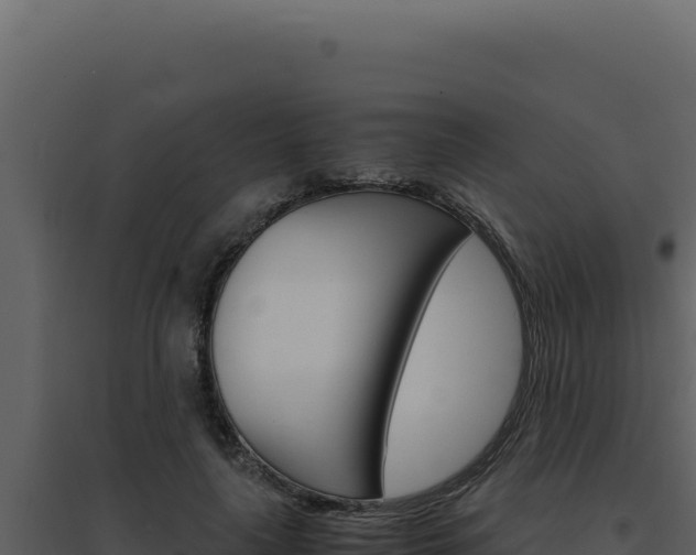 X0000094820643200711161029