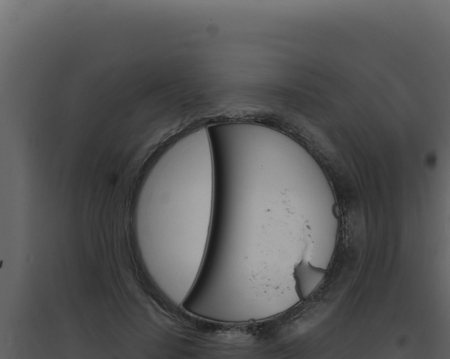 X0000094820644200711161029