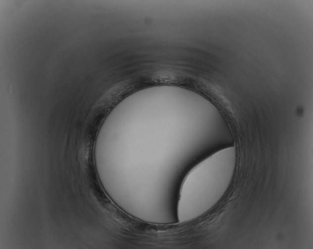 X0000094820645200711161029