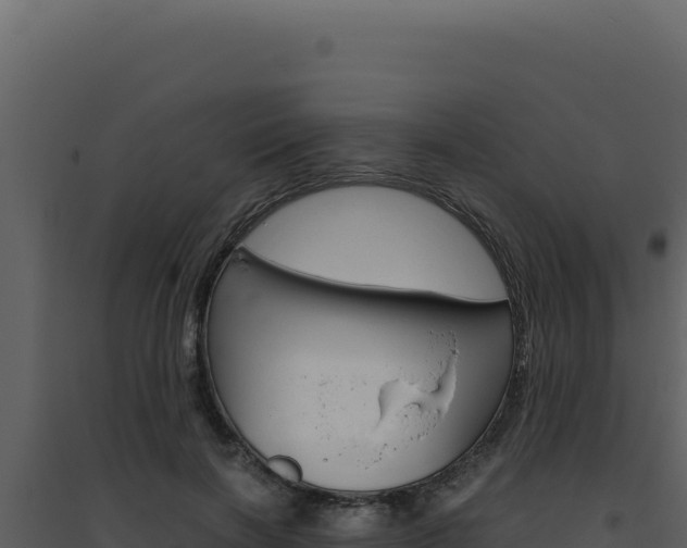 X0000094820646200711161029