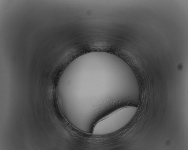 X0000094820647200711161029