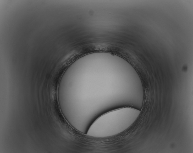X0000094820648200711161029