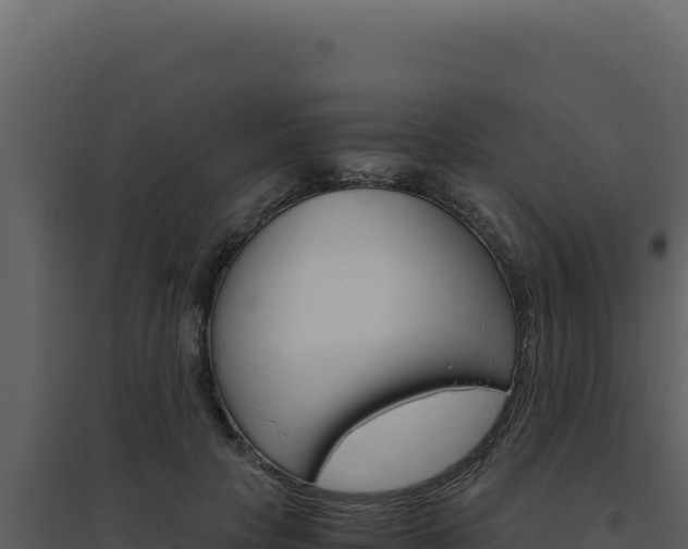 X0000094820649200711161029