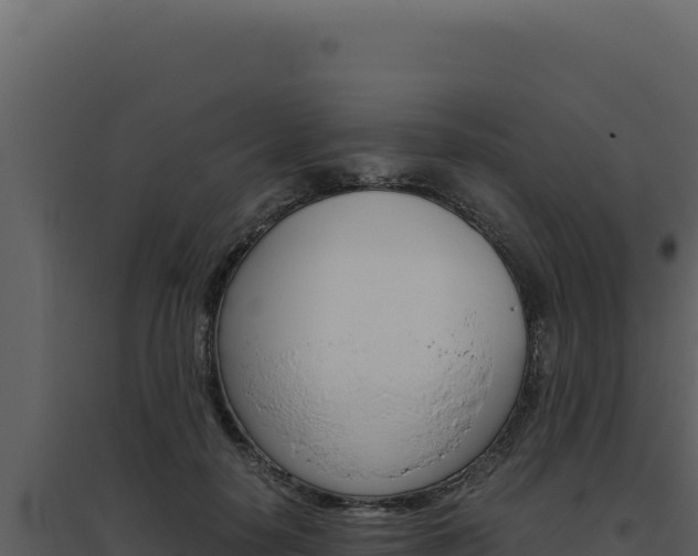 X0000094820650200711161029
