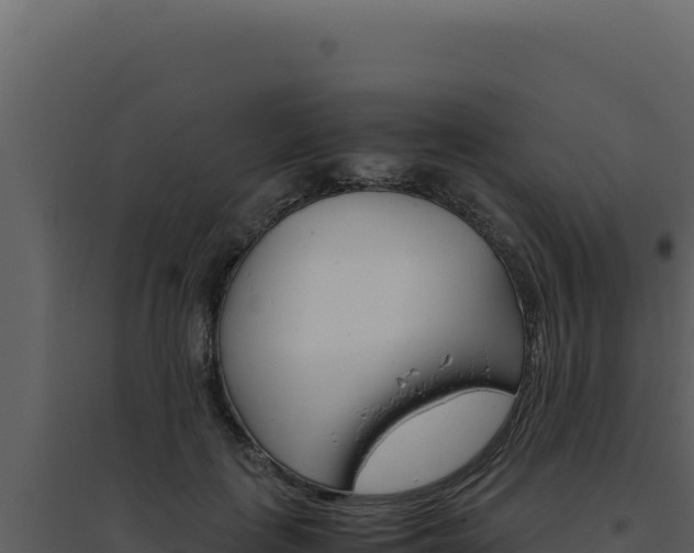 X0000094820651200711161029