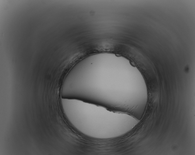 X0000094820652200711161029
