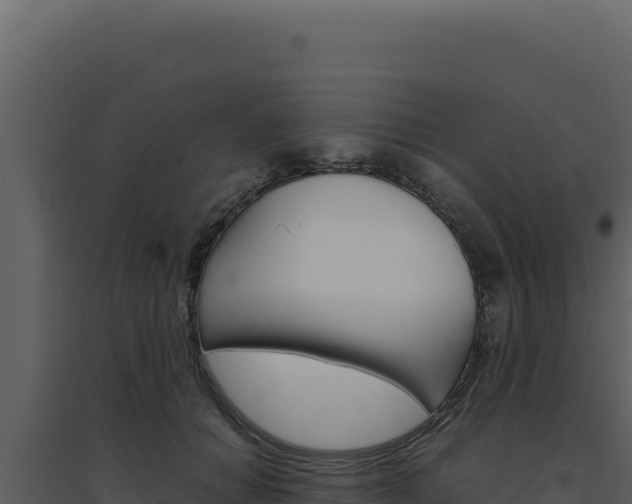 X0000094820654200711161029