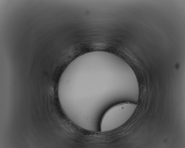 X0000094820655200711161029