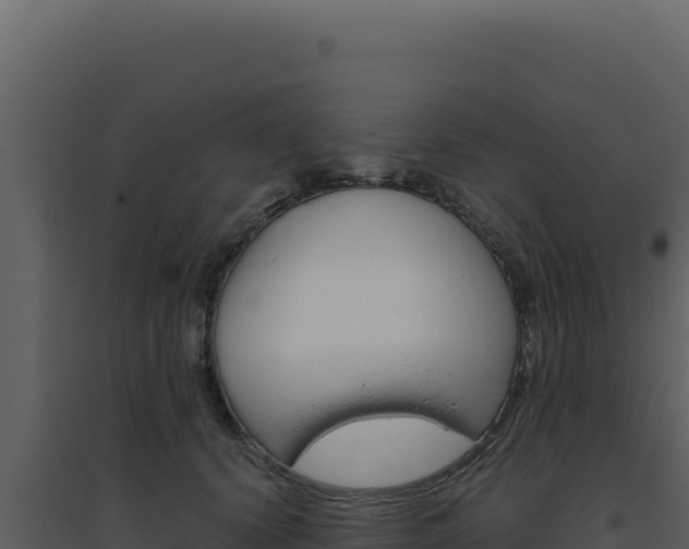 X0000094820656200711161029