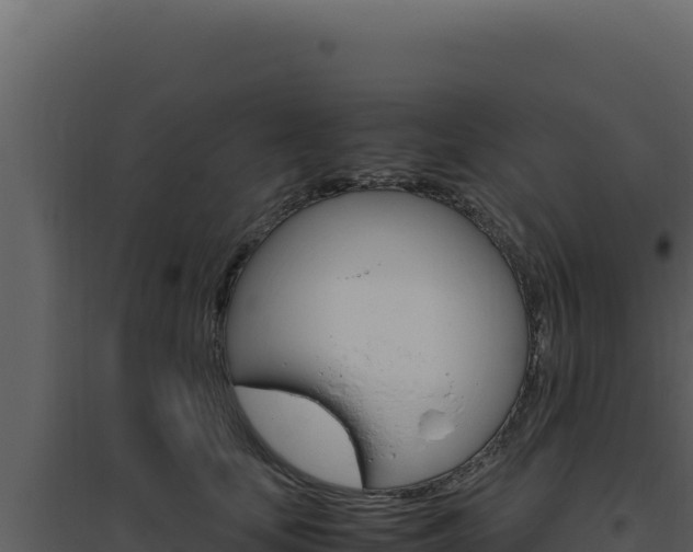 X0000094820659200711161029