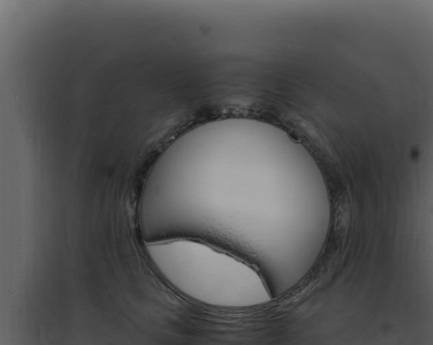 X0000094820661200711161029