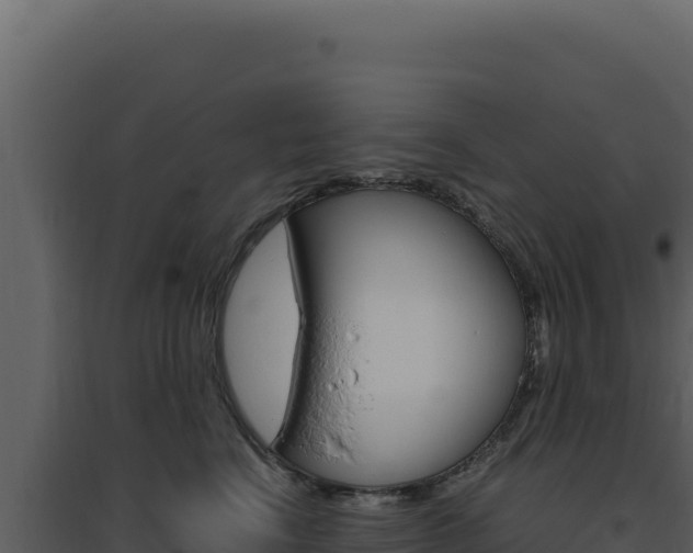 X0000094820664200711161029