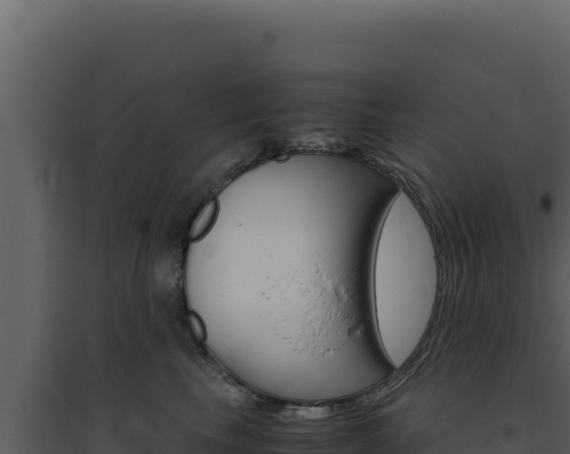 X0000094820665200711161029