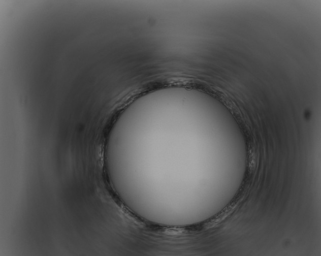 X0000094820666200711161029
