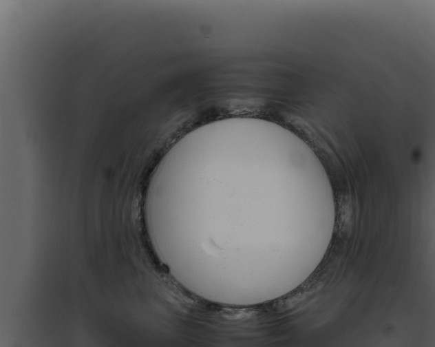 X0000094820667200711161029