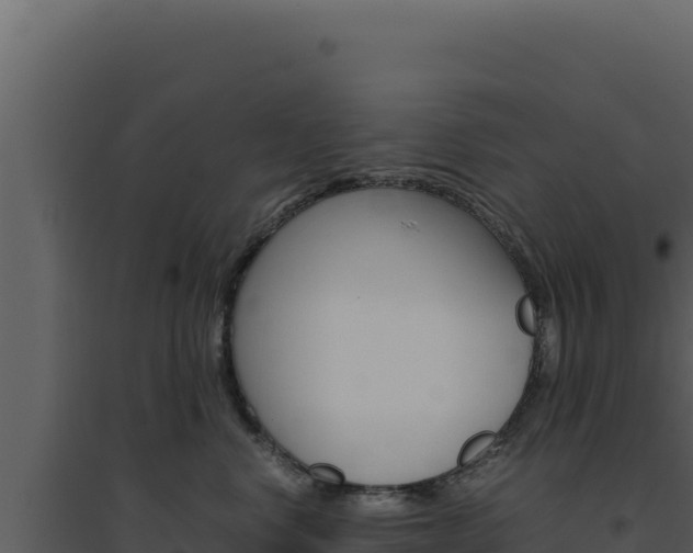 X0000094820668200711161029