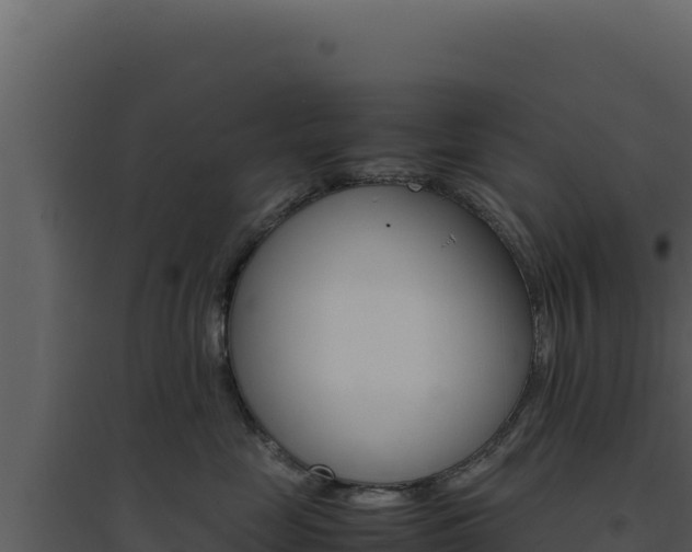 X0000094820669200711161029
