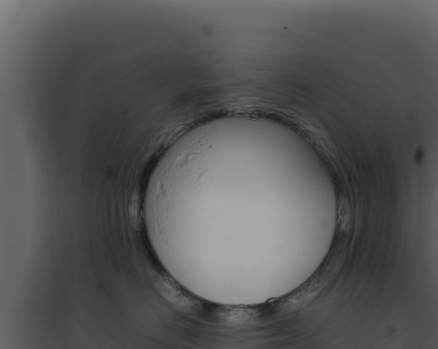 X0000094820670200711161029