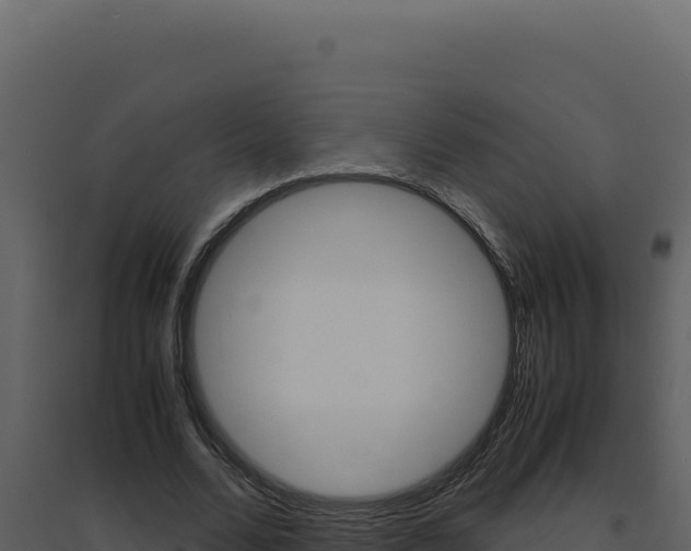 X0000094820680200711161028